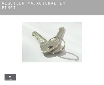 Alquiler vacacional en  Pinet