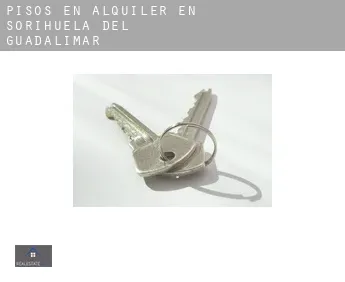 Pisos en alquiler en  Sorihuela del Guadalimar