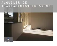 Alquiler de apartamentos en  Orense