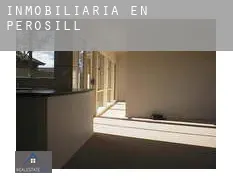 Inmobiliaria en  Perosillo