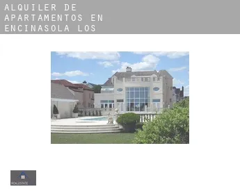 Alquiler de apartamentos en  Encinasola de los Comendadores