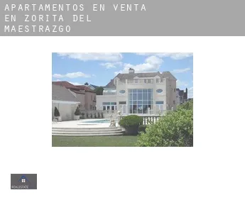 Apartamentos en venta en  Zorita del Maestrazgo