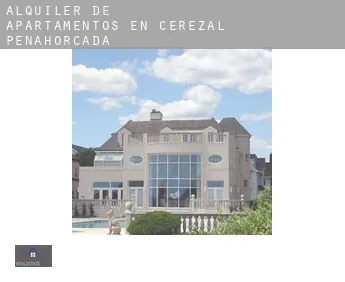 Alquiler de apartamentos en  Cerezal de Peñahorcada