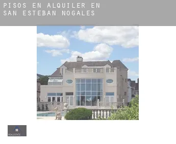 Pisos en alquiler en  San Esteban de Nogales