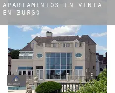 Apartamentos en venta en Burgos