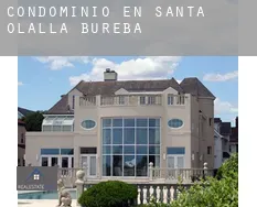 Condominio en Santa Olalla de Bureba