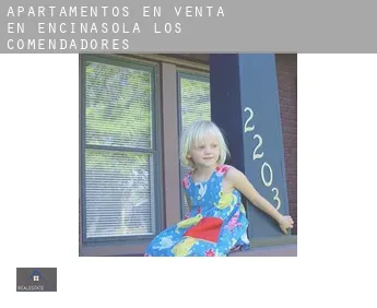 Apartamentos en venta en  Encinasola de los Comendadores
