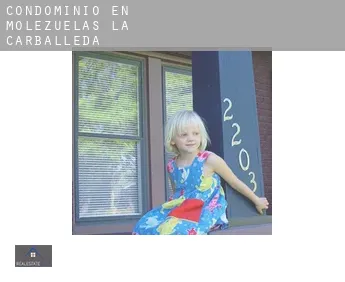 Condominio en  Molezuelas de la Carballeda