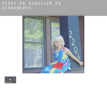 Pisos en alquiler en  Carboneros
