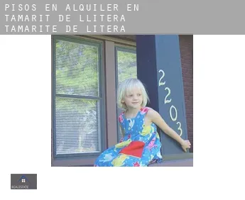 Pisos en alquiler en  Tamarit de Llitera / Tamarite de Litera