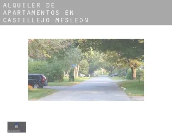 Alquiler de apartamentos en  Castillejo de Mesleón
