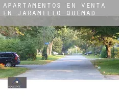 Apartamentos en venta en  Jaramillo Quemado