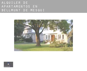 Alquiler de apartamentos en  Bellmunt de Mesquí / Belmonte de San José