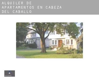 Alquiler de apartamentos en  Cabeza del Caballo