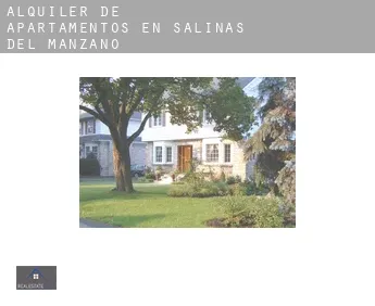 Alquiler de apartamentos en  Salinas del Manzano