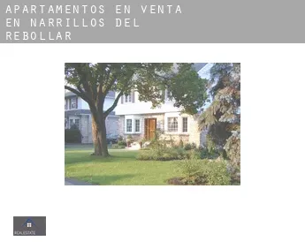 Apartamentos en venta en  Narrillos del Rebollar
