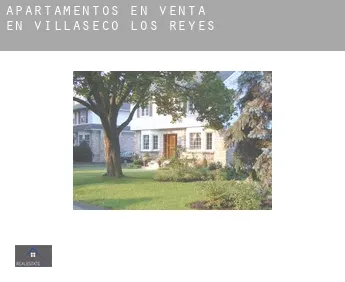 Apartamentos en venta en  Villaseco de los Reyes