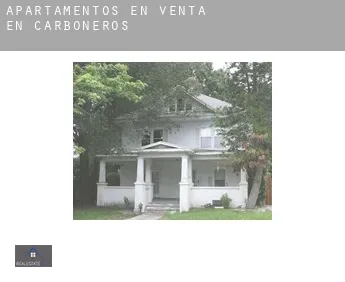 Apartamentos en venta en  Carboneros