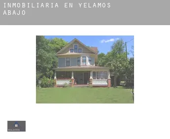 Inmobiliaria en  Yélamos de Abajo