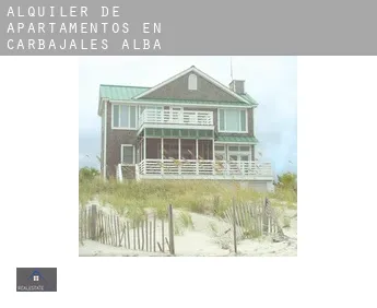 Alquiler de apartamentos en  Carbajales de Alba