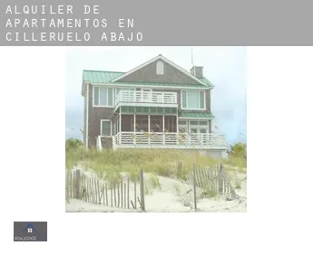 Alquiler de apartamentos en  Cilleruelo de Abajo