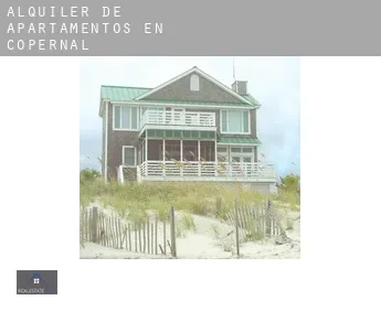 Alquiler de apartamentos en  Copernal