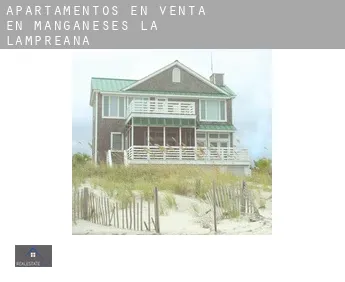 Apartamentos en venta en  Manganeses de la Lampreana