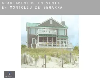 Apartamentos en venta en  Montoliu de Segarra