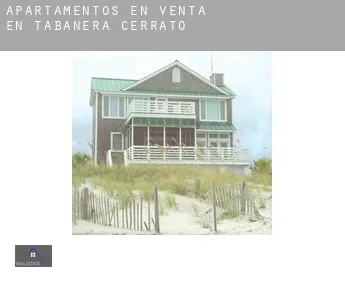 Apartamentos en venta en  Tabanera de Cerrato