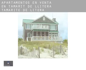 Apartamentos en venta en  Tamarit de Llitera / Tamarite de Litera