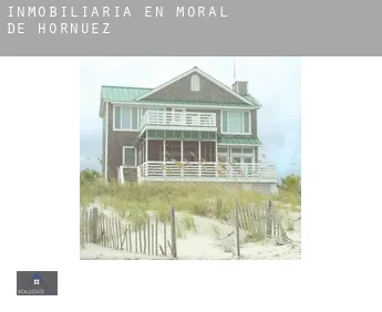 Inmobiliaria en  Moral de Hornuez