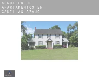 Alquiler de apartamentos en  Canillas de Abajo