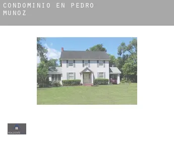 Condominio en Pedro Muñoz