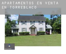 Apartamentos en venta en  Torreblacos