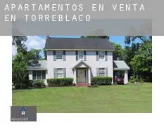 Apartamentos en venta en Torreblacos
