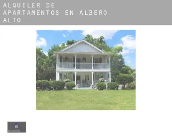 Alquiler de apartamentos en  Albero Alto