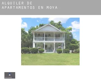 Alquiler de apartamentos en  Moya