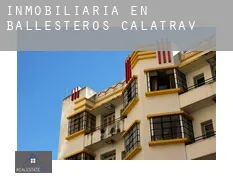 Inmobiliaria en  Ballesteros de Calatrava