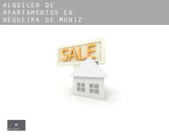 Alquiler de apartamentos en  Negueira de Muñiz