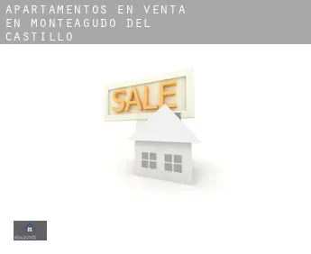 Apartamentos en venta en  Monteagudo del Castillo