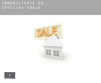 Inmobiliaria en  Canillas de Abajo
