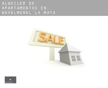 Alquiler de apartamentos en  Navalmoral de la Mata