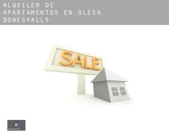 Alquiler de apartamentos en  Olesa de Bonesvalls