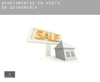 Apartamentos en venta en Quiñonería