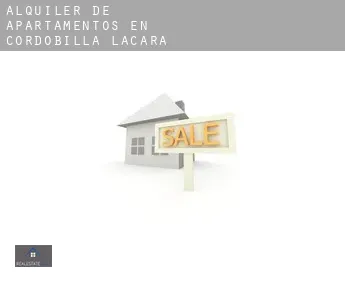 Alquiler de apartamentos en  Cordobilla de Lácara
