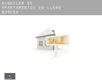 Alquiler de apartamentos en  Llano de Bureba