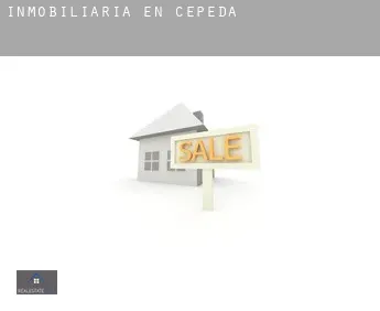 Inmobiliaria en  Cepeda