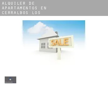 Alquiler de apartamentos en  Cerralbos (Los)