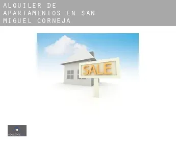 Alquiler de apartamentos en  San Miguel de Corneja