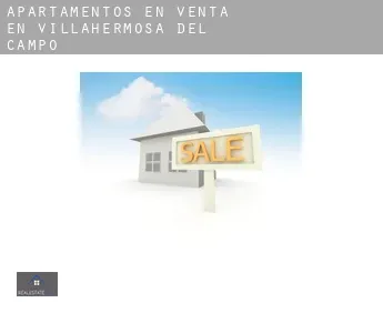 Apartamentos en venta en  Villahermosa del Campo